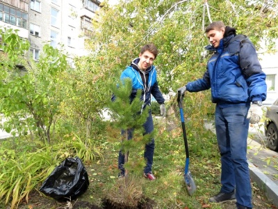 В Калининском районе стартовала акция «Вырасти свое дерево»