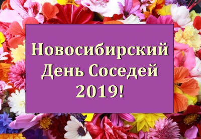 Новосибирский День соседей 2019!
