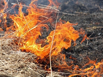 «Сухая трава - источник пожара»