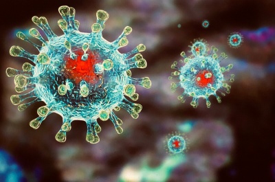 Меры личной профилактики гриппа, коронавирусной инфекции и других ОРВИ 