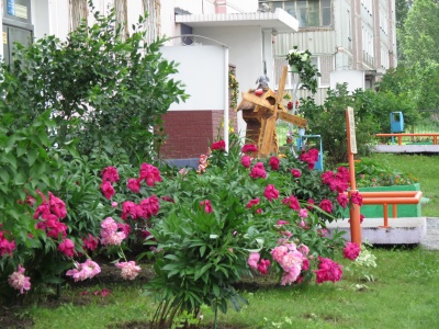 2 августа пройдет районный конкурс «Озеленение территории многоквартирного дома»