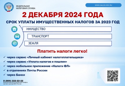 2 декабря - срок уплаты имущественных налогов