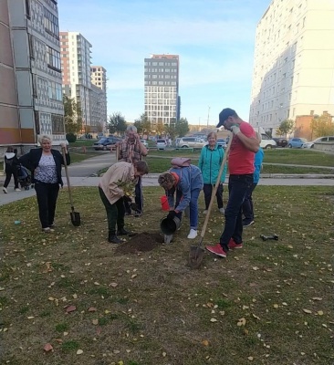 В микрорайоне «Снегири» общественники заложили основу для будущего скверика