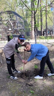 Школьники из Калининского района высадили более двух десятков сосенок в зоопарке