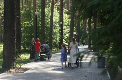 Парк «Сосновый бор» вошел в список объектов для благоустройства в 2025 году