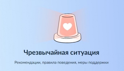 Что такое цифровой сервис "Чрезвычайная ситуация"