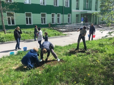 Территория Городской клинической больницы №25 стала еще зеленее